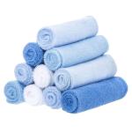 Spasilk Washcloth Wipes Set for Newborn Boys and Girls, Soft Terry Washcloth Set, Pack of 10, Blue