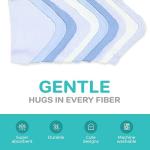 Spasilk Washcloth Wipes Set for Newborn Boys and Girls, Soft Terry Washcloth Set, Pack of 10, Blue