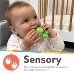 Nuby Teethe N' Pop Sensory Play Teether - Baby Teething Toy - 3+ Months - Turtle