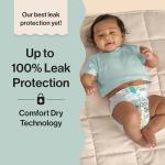 The Honest Company Comfort Dry Disposable Diapers for Sensitive Skin, Hypoallergenic, Beary Cool + Big Trucks, Super Club Box Size 6 (35 lbs), 68 Count