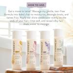 The Honest Company Silicone-Free Conditioner, Gentle Tear-Free, Hypoallergenic, Baby Hair Care with Naturally Derived Ingredients, Citrus Vanilla Refresh, 10 fl oz