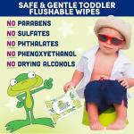 Flushable Wipes for Baby and Kids by Kandoo, Sensitive and Unscented Formula, Hypoallergenic Potty Training Wet Cleansing Cloths, 42 Count, Pack of 12
