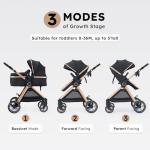 Accombe 2 in 1 Baby Stroller, Convertible Bassinet Pushchair for Infants and Newborns 0-36 Months