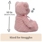 Baby GUND My First Teddy Bear, Ultra Soft Animal Plush Toy for Babies and Newborns, Pink, 10”