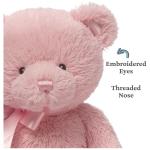 Baby GUND My First Teddy Bear, Ultra Soft Animal Plush Toy for Babies and Newborns, Pink, 10”