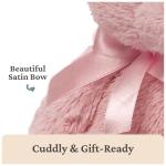 Baby GUND My First Teddy Bear, Ultra Soft Animal Plush Toy for Babies and Newborns, Pink, 10”