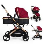 PEARLOVE 2 in 1 Convertible Baby Stroller Newborn Foldable Pushchair with Adjustable Canopy Folding High Landscape Infant Carriage, Anti-Shock Toddler Pushchair