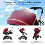 PEARLOVE 2 in 1 Convertible Baby Stroller Newborn Foldable Pushchair with Adjustable Canopy Folding High Landscape Infant Carriage, Anti-Shock Toddler Pushchair