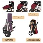 PEARLOVE 2 in 1 Convertible Baby Stroller Newborn Foldable Pushchair with Adjustable Canopy Folding High Landscape Infant Carriage, Anti-Shock Toddler Pushchair