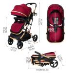 PEARLOVE 2 in 1 Convertible Baby Stroller Newborn Foldable Pushchair with Adjustable Canopy Folding High Landscape Infant Carriage, Anti-Shock Toddler Pushchair