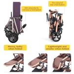 2 in 1 Baby Stroller Newborn Foldable Pushchair with Adjustable Canopy Folding High Landscape Infant Carriage, Anti-Shock Toddler Pushchair