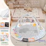 Baby Play Gym & Activity Mat, Tummy Time Mat with Cloud Toy, 7 Detachable Sensory Toys and Educational Cards for Motor Skills & Sensory Development, Baby Essentials Shower Gift, Grey Elephant