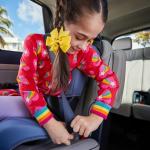 Cosco Kids Finale DX 2-in-1 Booster Car Seat, Forward Facing Toddler Car Seat (40-65 lbs) and Belt Positioning High Back Booster (40-100 lbs), Dusk