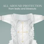 Pampers Amore, Size 2 (10-22 lbs), 74 Count, Our Best Diaper – Hypoallergenic & Fragrance Free, Up to 100% Leakproof, Soft as Cashmere