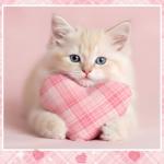 Frienda 10 Pcs Valentine's Day Fabric Bundles, 20 x 20 Inch Red Pink Plaid Stripe Pre-Cut Squares, Romantic Sewing Fabric for Quilting Patchwork DIY Handmade Craft Home Valentines Party Decoration