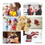 10 Inch Memory Bear Quilting Templates & Sewing Patterns - Beginners Friendly | with PVC Stencil Rulers, Craft Eyes and Noses Step-by-Step Tutorials/Instructions for Easy DIY(10in+Two Plush)