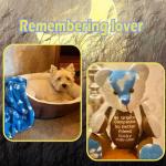 18in/Sitting Height 11in Fosdonge Acrylic Memory Bear Template Ruler Set with Detailed Instructions, Sewing Patterns for Beginners, Teddy Bear Quilting templates (Sitting Height 11in)