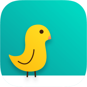 Quilting Tutorials by MSQC