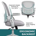 Smug Home Office Chair Ergonomic Desk Chair Mesh Computer Chair Modern Height Adjustable Swivel Chair with Lumbar Support/Flip-up Arms, Grey