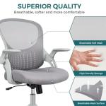 Smug Home Office Chair Ergonomic Desk Chair Mesh Computer Chair Modern Height Adjustable Swivel Chair with Lumbar Support/Flip-up Arms, Grey