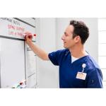 EXPO Low Odor Dry Erase Markers Chisel Tip Assorted Fashion Colors 36 Count for Classroom Office & Home Use