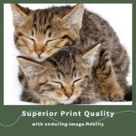 HIPEIINK TK-3412 Toner Cartridge Black 2 Pack TK3412 Compatible for Kyocera TK-3412 TK3412K 1T0C0X0US0 for ECOSYS PA5000x Printer