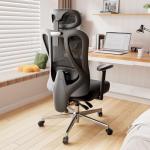 Hbada P3 Ergonnomic Office Chair with 2D Adjustable Lumbar Support, Office Chair with Adjustable Headrest and Armrest, 145° Stepless Tilt Function, Black(No Footrest)