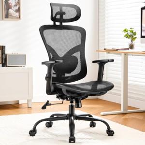 Marsail Ergonomic Mesh Office Chair,Ergonomic Desk Chair with 2D Headrest,Adjustable Lumbar Support & Up and Down Armrest