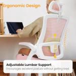 NEO Chair Ergonomic Office Desk Chair High Back Computer Gaming Mesh Chair with Comfy Task Adjustable Arms Lumbar Support Headrest Swivel for Home Office (Pink)