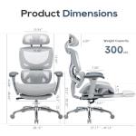COLAMY Ergonomic Mesh Office Chair, High Back Desk Chair with Footrest, Adjustable Headrest and 3D Arms, Fixed Tilt Lock, Lumbar Support, Breathable Mesh Computer Chair for Home Office,Grey