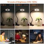 Woputne Desk Lamp Clip Light, 10 Dimmable Brightness 3 Light Modes Reading Light, Clamp Bedside Lamp for Painting, Craft, Study (Black)