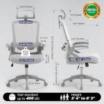 Fizzin Office Chair, Ergonomic Office Chair with Adjustable Headrest Lumbar Support Computer Chair, 400 lbs Desk Chair Comfy with Flip-up Armrests - Gaming Chairs for Adults Home Office (Gray)