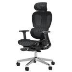 PatioMage Ergonomic Office Chair, Big and Tall Desk Chair with Adjustable Lumbar Support & Seat Depth, High Back Computer Chair, Swivel Mesh Chairs with Wheels for Home Office, Black