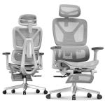 FLEXISPOT ErgoX Premium Ergonomic Office Chair with Footrest- Adjustable 3D Armrests, Dynamic Lumbar Support, Recline & Tilt Function, Mesh Seat, for Home & Office Use,Light Grey