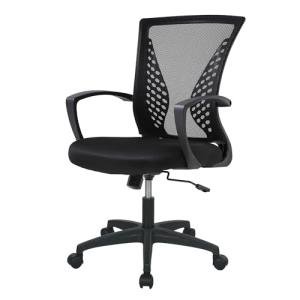 FDW Home Office Chair Mid Back PC Swivel Lumbar Support Adjustable Desk Task Computer Ergonomic Comfortable Mesh Chair with Armrest (Black)