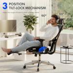 FLEXISPOT ErgoX Premium Ergonomic Office Chair with Footrest- Adjustable 3D Armrests, Dynamic Lumbar Support, Recline & Tilt Function, Mesh Seat, for Home & Office Use,Light Grey