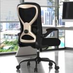 CASASIO Office Desk Chair with Ergonomic Lumbar Support, Extra-Thick Seat Cushion, Flip-up Arms, Breathable Mesh Back, Computer Task Chair for Home Office