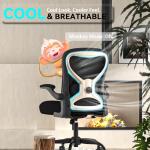 CASASIO Office Desk Chair with Ergonomic Lumbar Support, Extra-Thick Seat Cushion, Flip-up Arms, Breathable Mesh Back, Computer Task Chair for Home Office