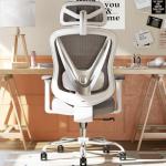 HOLLUDLE Ergonomic Mesh Office Chair - 3D Adjustable Lumbar Support & 3D Armrests, V-Shaped Back, Adjustable Desk Chair for Office & Home, White