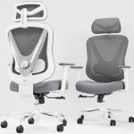 HOLLUDLE Ergonomic Mesh Office Chair - 3D Adjustable Lumbar Support & 3D Armrests, V-Shaped Back, Adjustable Desk Chair for Office & Home, White