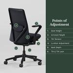 Branch Verve Chair - High Performance Executive Office Chair with Contoured Back and Adjustable Lumbar Support - High Density Foam Cushion and 3D Knit Back - Fits 5' to 6', Up to 275 lbs, Galaxy
