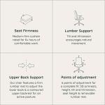 Branch Verve Chair - High Performance Executive Office Chair with Contoured Back and Adjustable Lumbar Support - High Density Foam Cushion and 3D Knit Back - Fits 5' to 6', Up to 275 lbs, Galaxy