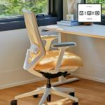 Branch Ergonomic Chair Pro - Mesh Office Chair with 14 Points of Adjustment - Height, Depth & Tilt Adjustable - 5D Armrests - Forward Tilt, Smooth Recline, and Lumbar Support - Spark