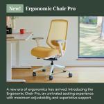Branch Ergonomic Chair Pro - Mesh Office Chair with 14 Points of Adjustment - Height, Depth & Tilt Adjustable - 5D Armrests - Forward Tilt, Smooth Recline, and Lumbar Support - Spark