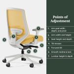 Branch Ergonomic Chair Pro - Mesh Office Chair with 14 Points of Adjustment - Height, Depth & Tilt Adjustable - 5D Armrests - Forward Tilt, Smooth Recline, and Lumbar Support - Spark
