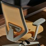 Branch Ergonomic Chair Pro - Mesh Office Chair with 14 Points of Adjustment - Height, Depth & Tilt Adjustable - 5D Armrests - Forward Tilt, Smooth Recline, and Lumbar Support - Spark
