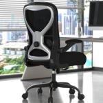 CASASIO Office Desk Chair with Ergonomic Lumbar Support, Extra-Thick Seat Cushion, Flip-up Arms, Breathable Mesh Back, Computer Task Chair for Home Office