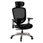 STAPLES Hyken Ergonomic Task Chair, Mesh, Ergonomic, Lumbar Support, Swivel, Black