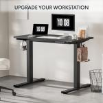 FLEXISPOT Electric Height Adjustable Standing Desk
