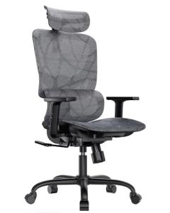 HUANUO Ergonomic Mesh Office Chair with 5-Level Lumbar Support, Computer Gaming Chair with Adjustable Headrest & Armrests, Rocking Tilt, Comfortable High Back Desk Chair for Home Office